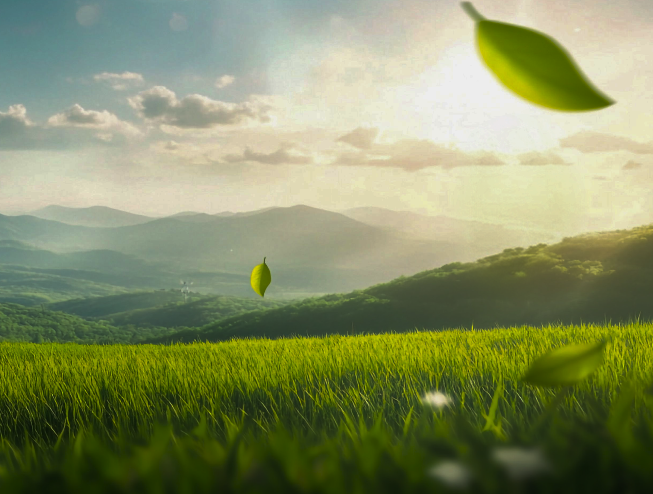 Environmental